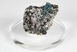 Blue Kyanite & Garnet in Biotite-Quartz Schist - Russia #178933-1